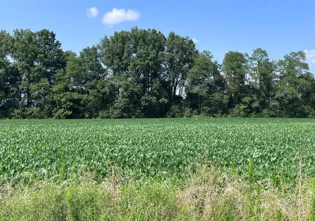 2nd image of 3517 Bardwell West Rd, Mount Orab, OH 45154 | MLS# 1776618