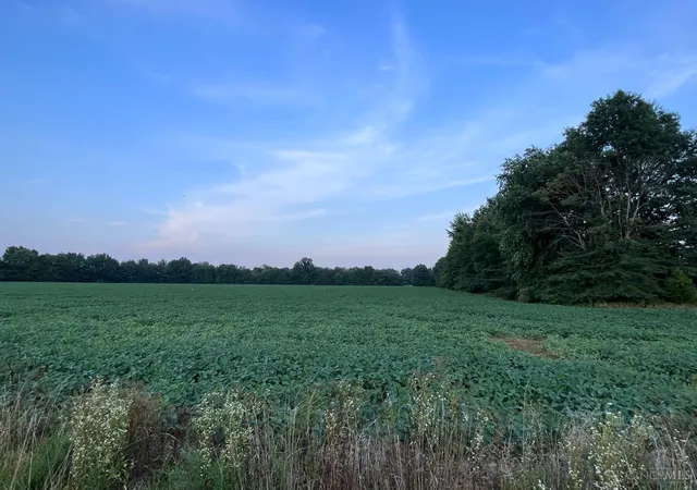 Photo 3 of Land for sale at 3517 Bardwell West Rd, Mount Orab, OH 45154 | MLS# 1776618 | Listing updated on 2026-06-19