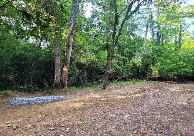 2nd image of 7231 Watkins Starkey Rd, Harlan Twp, OH 45107 | MLS# 1865044