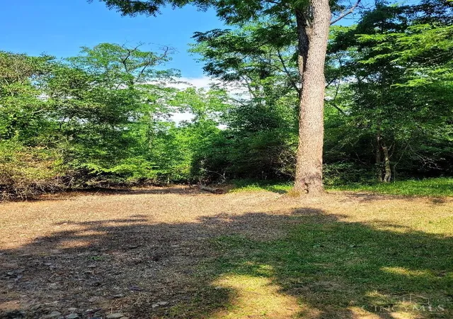 3rd image of 7231 Watkins Starkey Rd, Harlan Twp, OH 45107 | MLS# 1865044