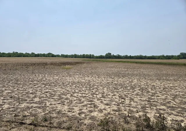 4th image of East Fork Rd, New Vienna, OH 45159 | MLS# 1867576