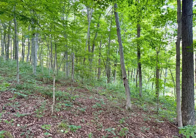 Homes for sale in Jackson Twp, OH | Carrs Run, Jackson Twp, OH 45613 | MLS# 1868855