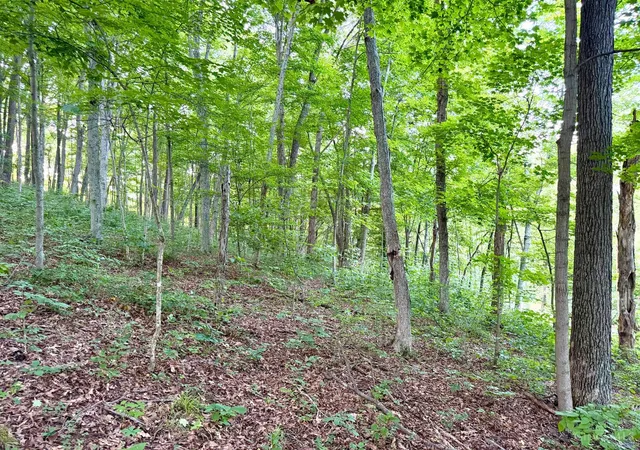 Homes for sale in Jackson Twp, OH | Carrs Run, Jackson Twp, OH 45613 | MLS# 1868855