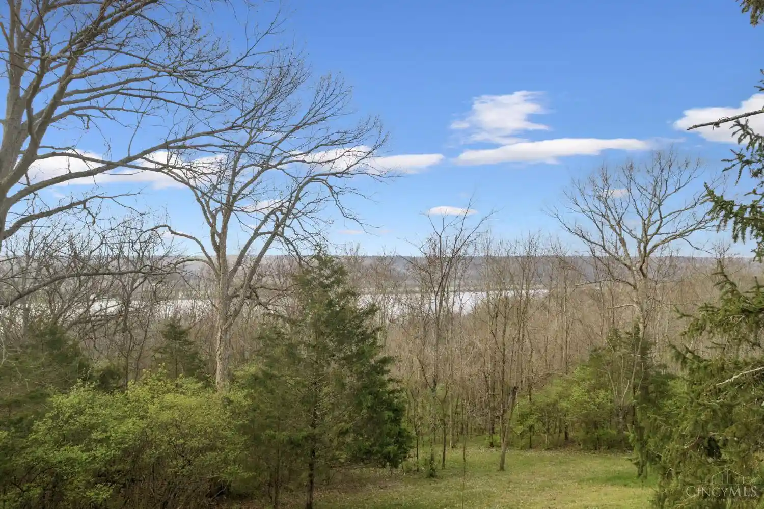 Single family home for sale at 5323 Buck Run Rd, Georgetown, OH 45121 | MLS# 1873486