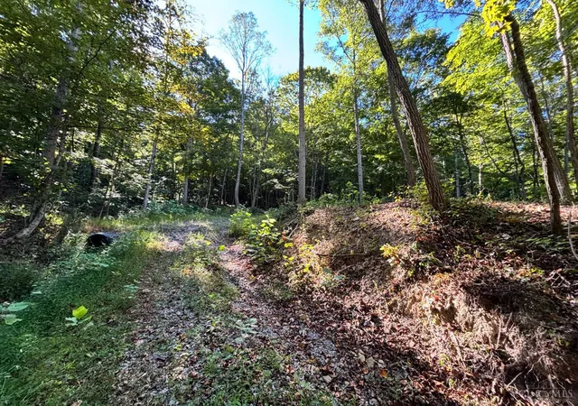 3rd image of Coon Hollow Rd, Lucasville, OH 45648 | MLS# 1873641