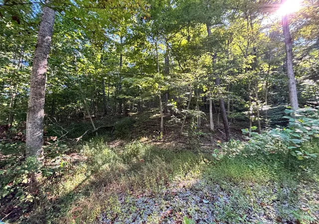 4th image of Coon Hollow Rd, Lucasville, OH 45648 | MLS# 1873641