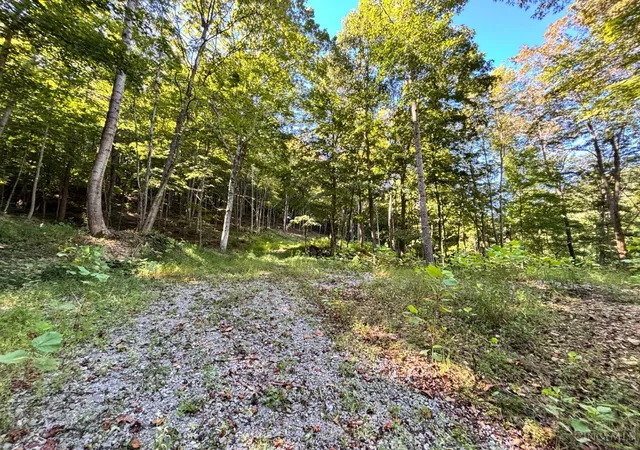 5th image of Coon Hollow Rd, Lucasville, OH 45648 | MLS# 1873641