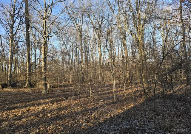Homes for sale in Union Twp, OH | Schoolhouse Rd, Union Twp, OH 45103 | MLS# 1874158
