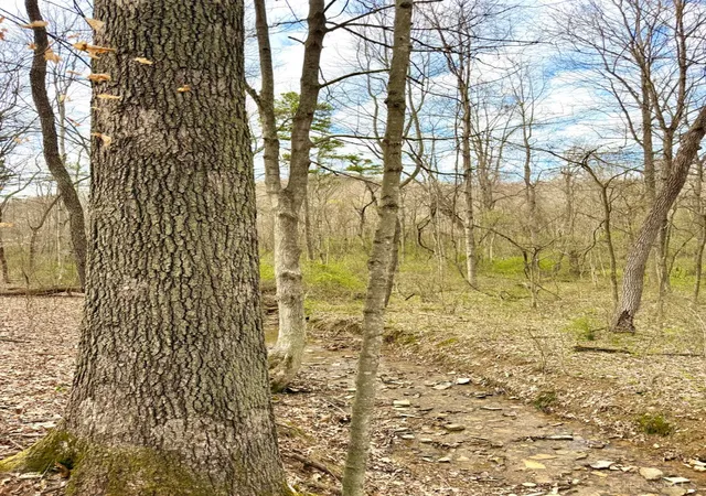 1st image of Fyffe Hollow, Chillicothe, OH 45601 | MLS# 1874336