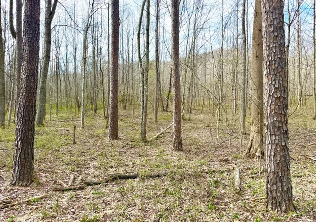 5th image of Fyffe Hollow, Chillicothe, OH 45601 | MLS# 1874336