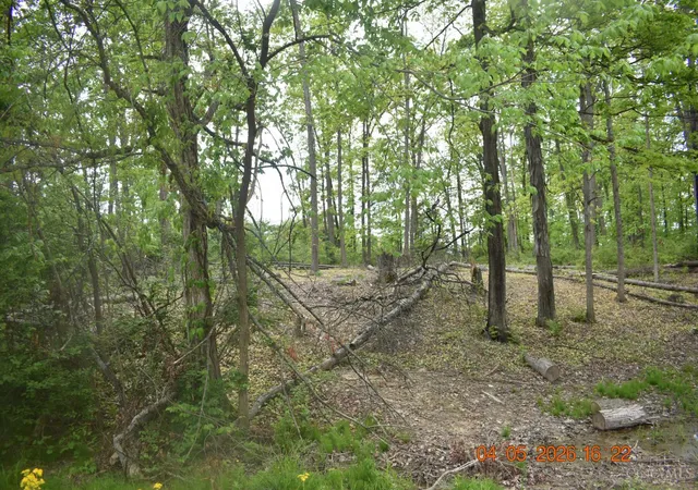 1st image of Schlitz Dr #208, Fayetteville, OH 45118 | MLS# 1878019