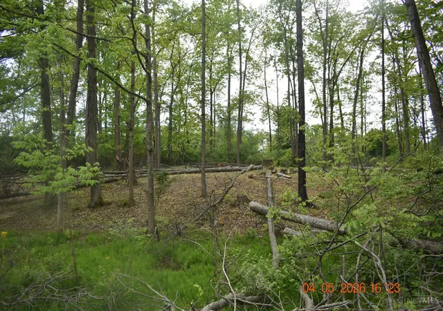 2nd image of Schlitz Dr #208, Fayetteville, OH 45118 | MLS# 1878019