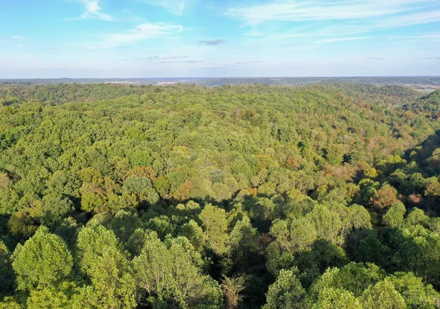 4th image of 1285 Nelson Rd, Jefferson Twp, OH 45648 | MLS# 1878809
