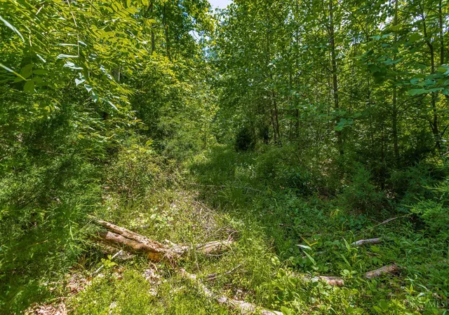 Homes for sale in Blue Creek, OH | 745 Coon Hollow, Blue Creek, OH 45616 | MLS# 1881419