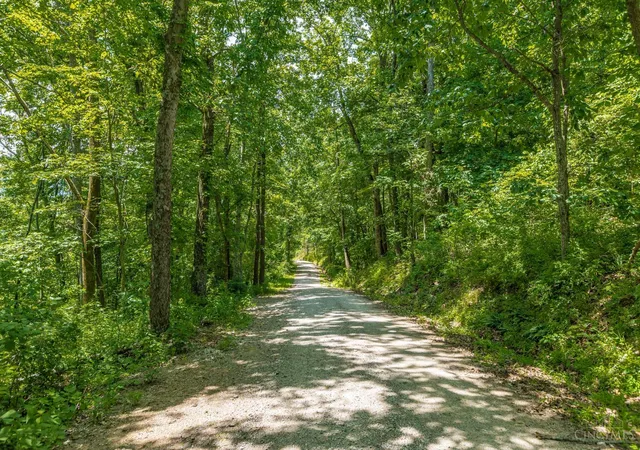Homes for sale in Blue Creek, OH | 745 Coon Hollow, Blue Creek, OH 45616 | MLS# 1881419