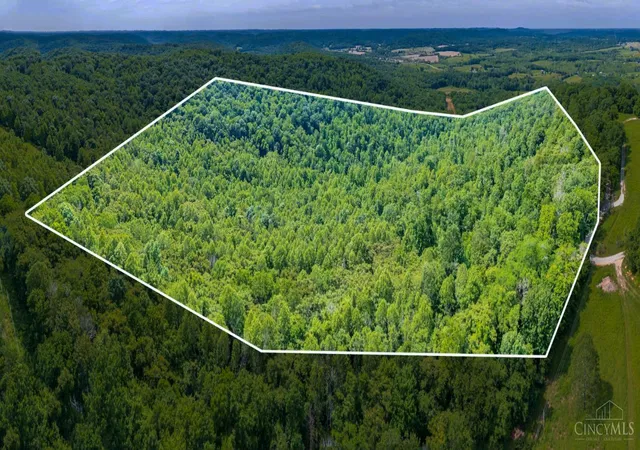 Homes for sale in Blue Creek, OH | 745 Coon Hollow, Blue Creek, OH 45616 | MLS# 1881419