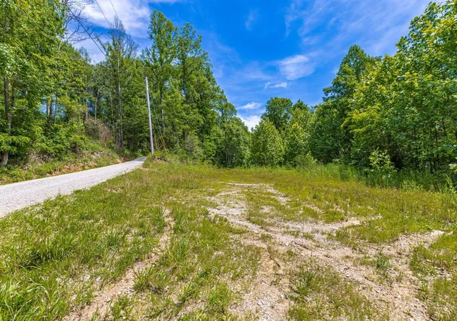 Homes for sale in Blue Creek, OH | 745 Coon Hollow, Blue Creek, OH 45616 | MLS# 1881419