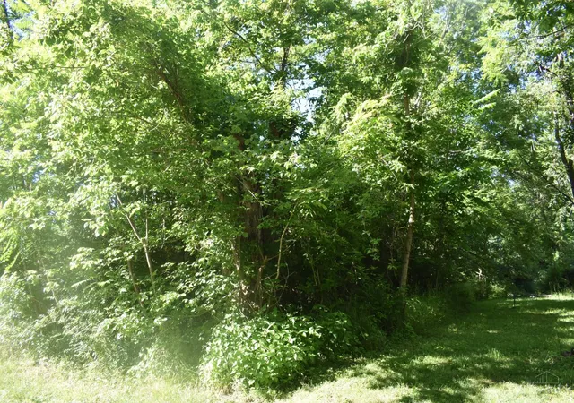 1st image of 11871 Lakefront Dr, Hillsboro, OH 45133 | MLS# 1881744