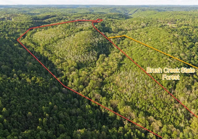 3rd image of 135 Union Hill Rd, Franklin Twp, OH 45660 | MLS# 1881875