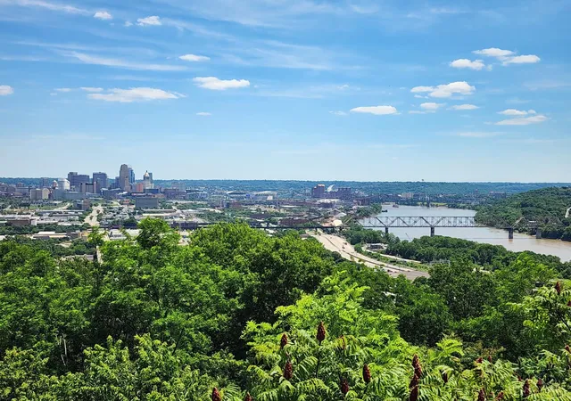 Homes for sale in Cincinnati, OH | 810 Matson Pl #807, Cincinnati, OH 45204 | MLS# 1882232
