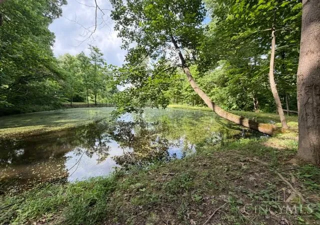 20th image of 2133 Davis Rd, Bainbridge, OH 45612 | MLS# 1882736