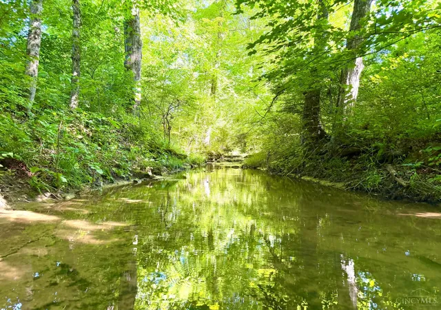 3rd image of N Falls Road, Bainbridge, OH 45612 | MLS# 1883280