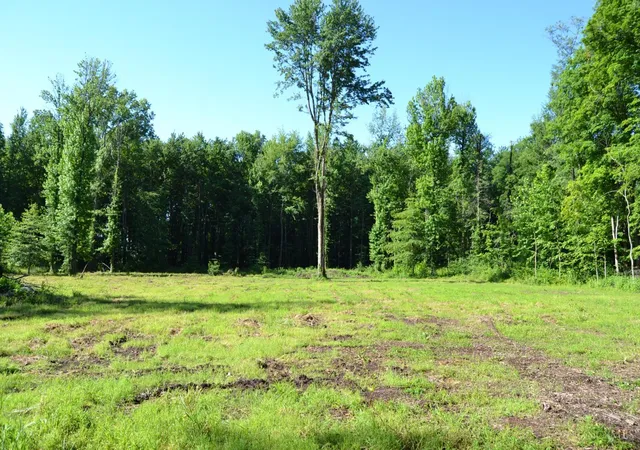 3rd image of 11 Case Rd, Tate Twp, OH 45157 | MLS# 1883500