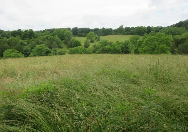 2nd image of Dewitt Rd, Moores Hill, IN 47032 | MLS# 1883863