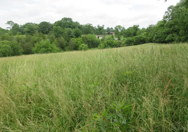 3rd image of Dewitt Rd, Moores Hill, IN 47032 | MLS# 1883863