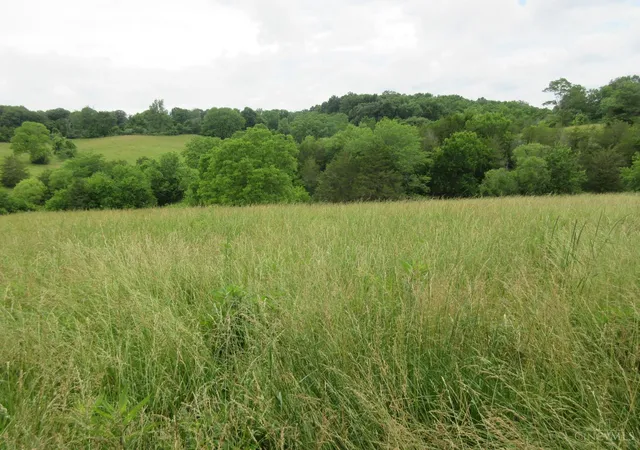 4th image of Dewitt Rd, Moores Hill, IN 47032 | MLS# 1883863