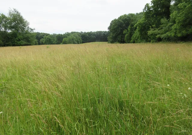 5th image of Dewitt Rd, Moores Hill, IN 47032 | MLS# 1883863