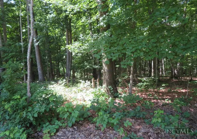 Homes for sale in Seaman, OH | 459 Greenbrier Rd, Seaman, OH 45679 | MLS# 1883533