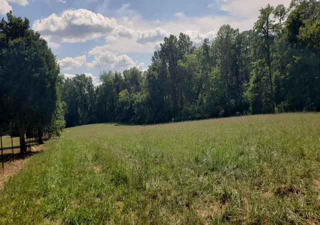 Homes for sale in Pierce Twp, OH | Lot A Fagins Run Rd, Pierce Twp, OH 45157 | MLS# 1884630