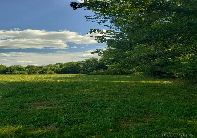 Homes for sale in Pierce Twp, OH | Lot A Fagins Run Rd, Pierce Twp, OH 45157 | MLS# 1884630