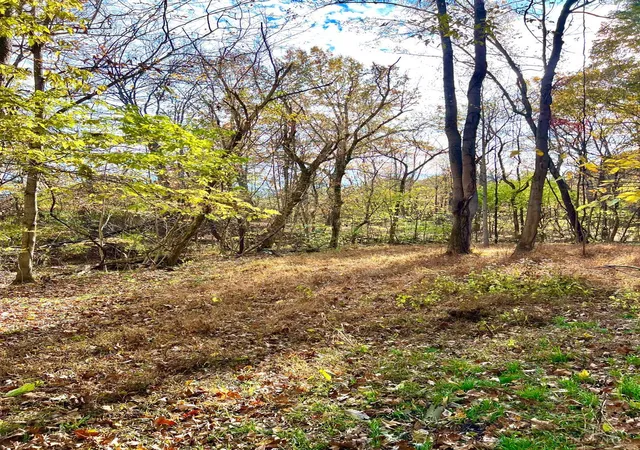 1st image of 872 Mullen Rd, Washington Twp, OH 45153 | MLS# 1885078