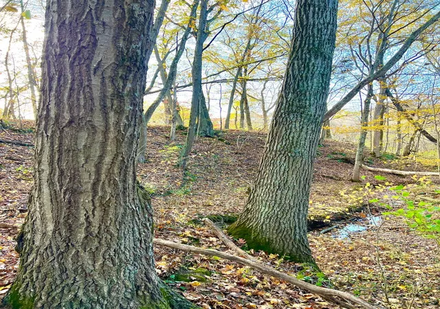 2nd image of 872 Mullen Rd, Washington Twp, OH 45153 | MLS# 1885078