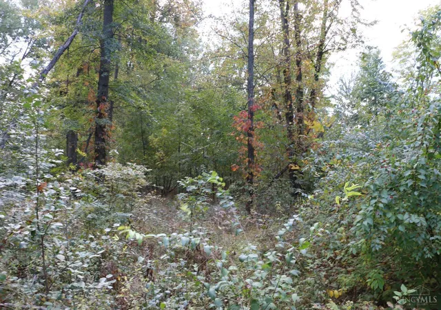 3rd image of 2298 Wilshire Cir, Stonelick Twp, OH 45122 | MLS# 1885153