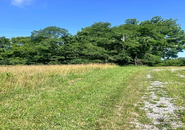 Homes for sale in Manchester, OH | 2046 Old State Rd, Manchester, OH 45144 | MLS# 1885242