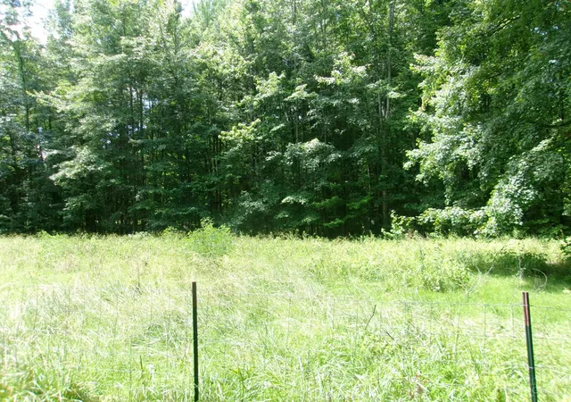 30th image of 3477 Starling Rd, Bethel, OH 45106 | MLS# 1885714