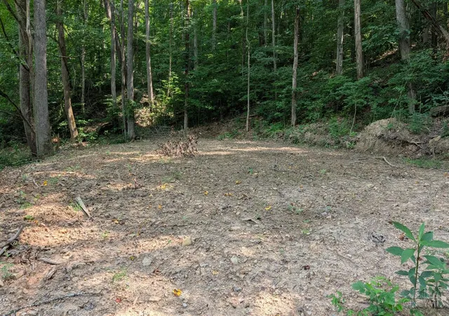 Homes for sale in Stout, OH | 1492 Sulphur Creek Rd, Stout, OH 45684 | MLS# 1886075