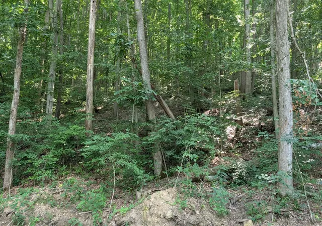 Homes for sale in Stout, OH | 1492 Sulphur Creek Rd, Stout, OH 45684 | MLS# 1886075
