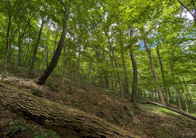 10th image of 8307 Ac Churn Creek Rd, Jefferson Twp, OH 45616 | MLS# 1886790