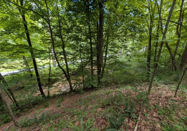 2nd image of 8307 Ac Churn Creek Rd, Jefferson Twp, OH 45616 | MLS# 1886790