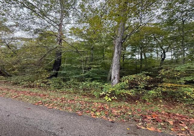 4th image of 8307 Ac Churn Creek Rd, Jefferson Twp, OH 45616 | MLS# 1886790