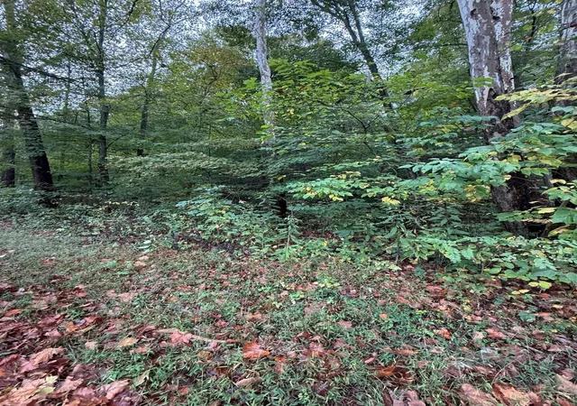 5th image of 8307 Ac Churn Creek Rd, Jefferson Twp, OH 45616 | MLS# 1886790