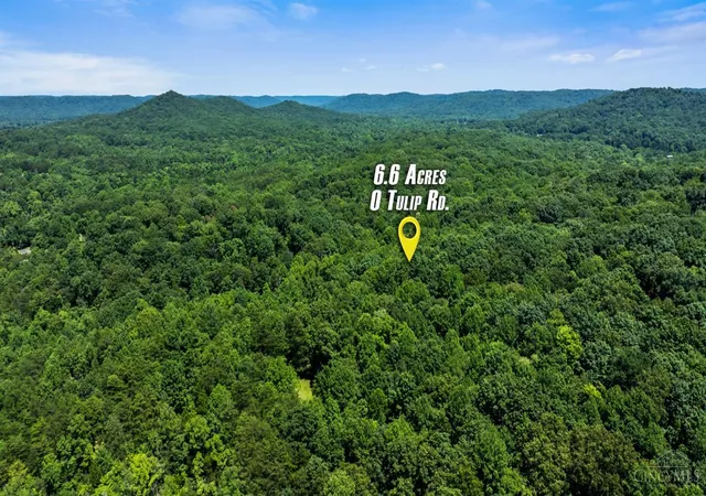 4th image of Tulip Rd, Lynx, OH 45650 | MLS# 1884838