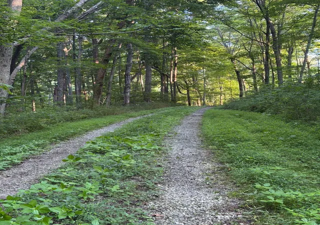 2nd image of 1702 Robinson Hollow Rd, Liberty Twp, OH 45693 | MLS# 1887262