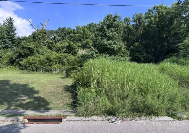 Photo 1 of Land for sale at 2296 Schoedinger Ave, Cincinnati, OH 45214 | MLS# 1887279 | Listing updated on 2026-07-23