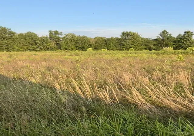 Photo 3 of Land for sale at John Woods Rd, Winchester, OH 45697 | MLS# 1887572 | Listing updated on 2026-09-09