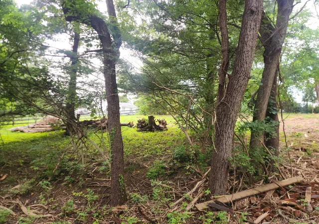 Photo 3 of Land for sale at 7652 Clough Pike, Anderson Twp, OH 45244 | MLS# 1887899 | Listing updated on 2026-08-06